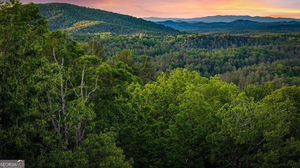 760 River Bend Lane Blue Ridge - Photo 88
