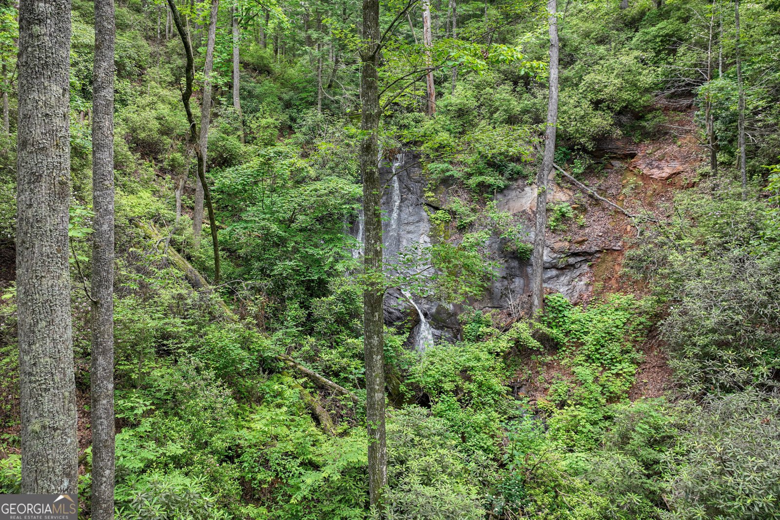 2001 Chimney Mountain Flats Trail Clarkesville - Photo 14