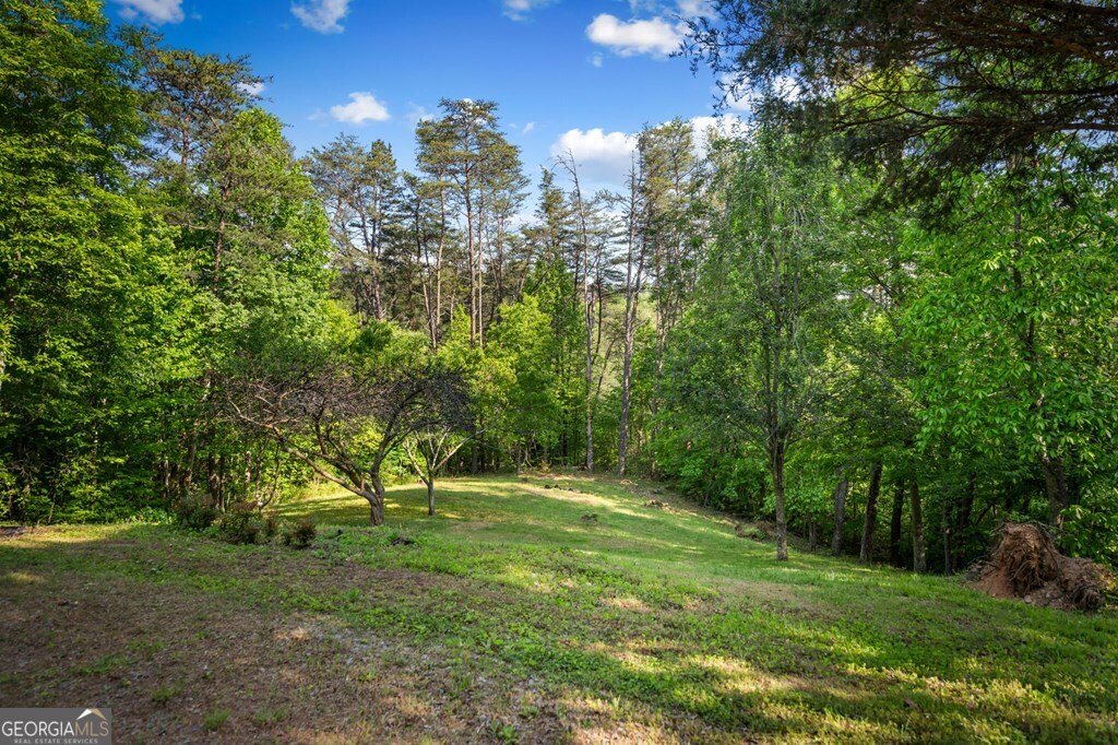 100 Lakeview Drive Turtletown - Photo 72