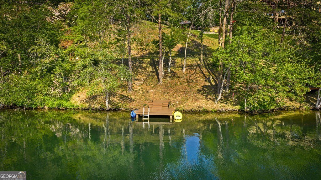 100 Lakeview Drive Turtletown - Photo 75