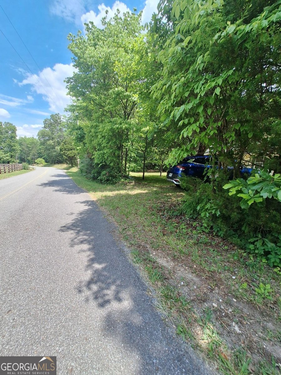 333 Lickskillet Road Epworth - Photo 6