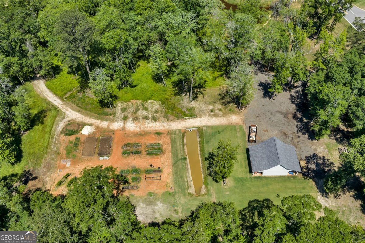 466 Bear Branch Road Kathleen - Photo 110