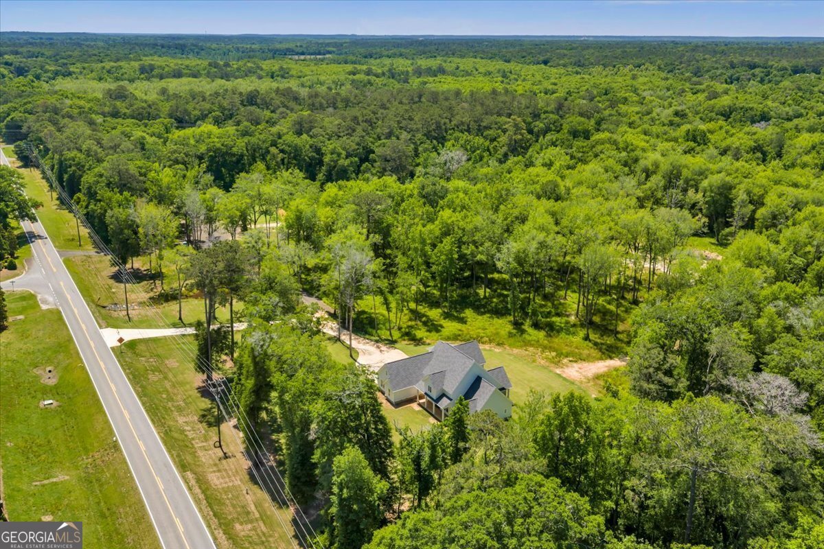 466 Bear Branch Road Kathleen - Photo 114