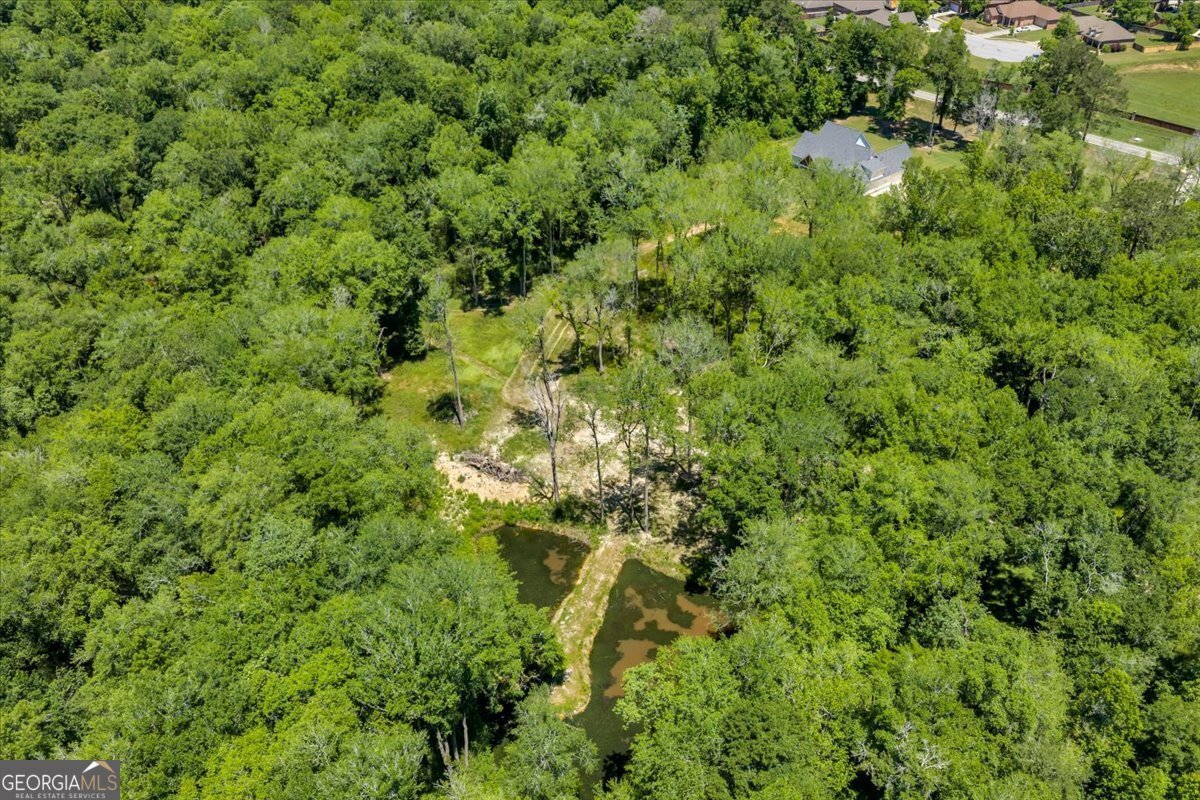 466 Bear Branch Road Kathleen - Photo 117