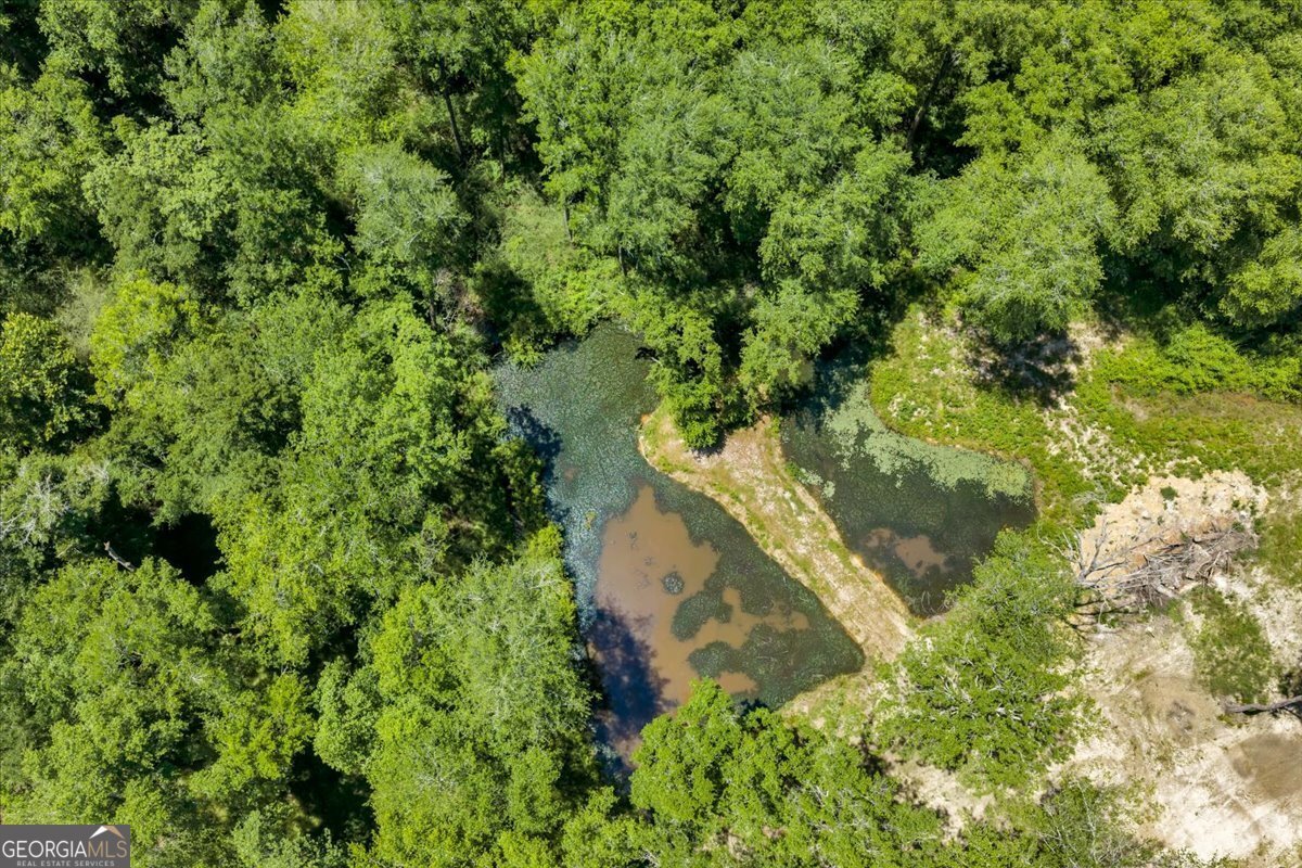 466 Bear Branch Road Kathleen - Photo 118