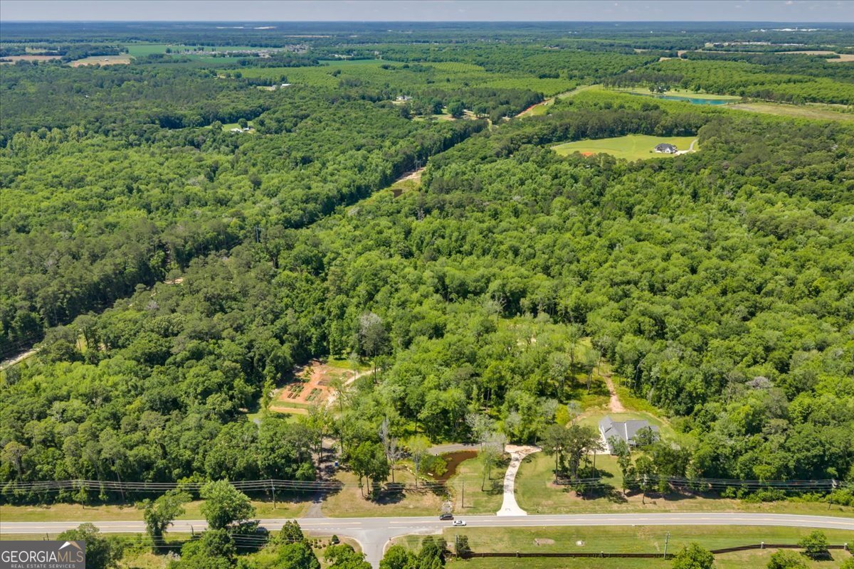 466 Bear Branch Road Kathleen - Photo 119