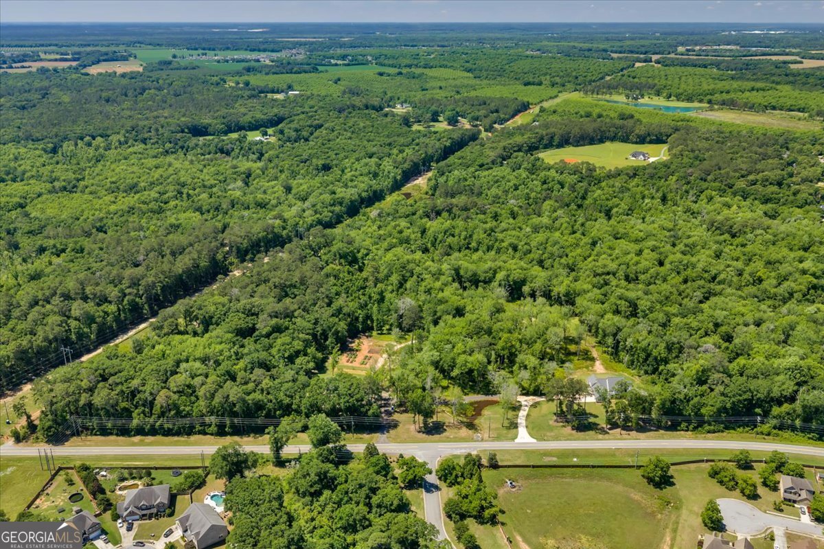 466 Bear Branch Road Kathleen - Photo 120