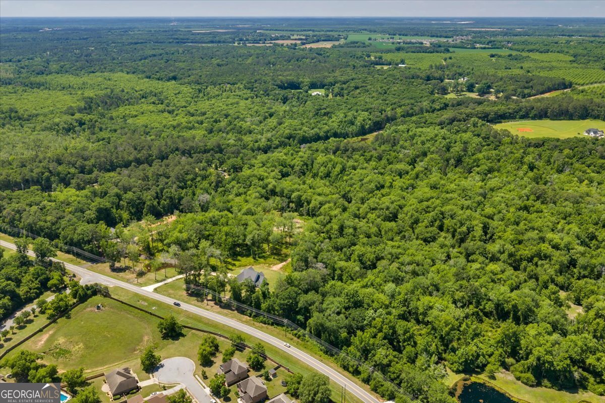 466 Bear Branch Road Kathleen - Photo 121