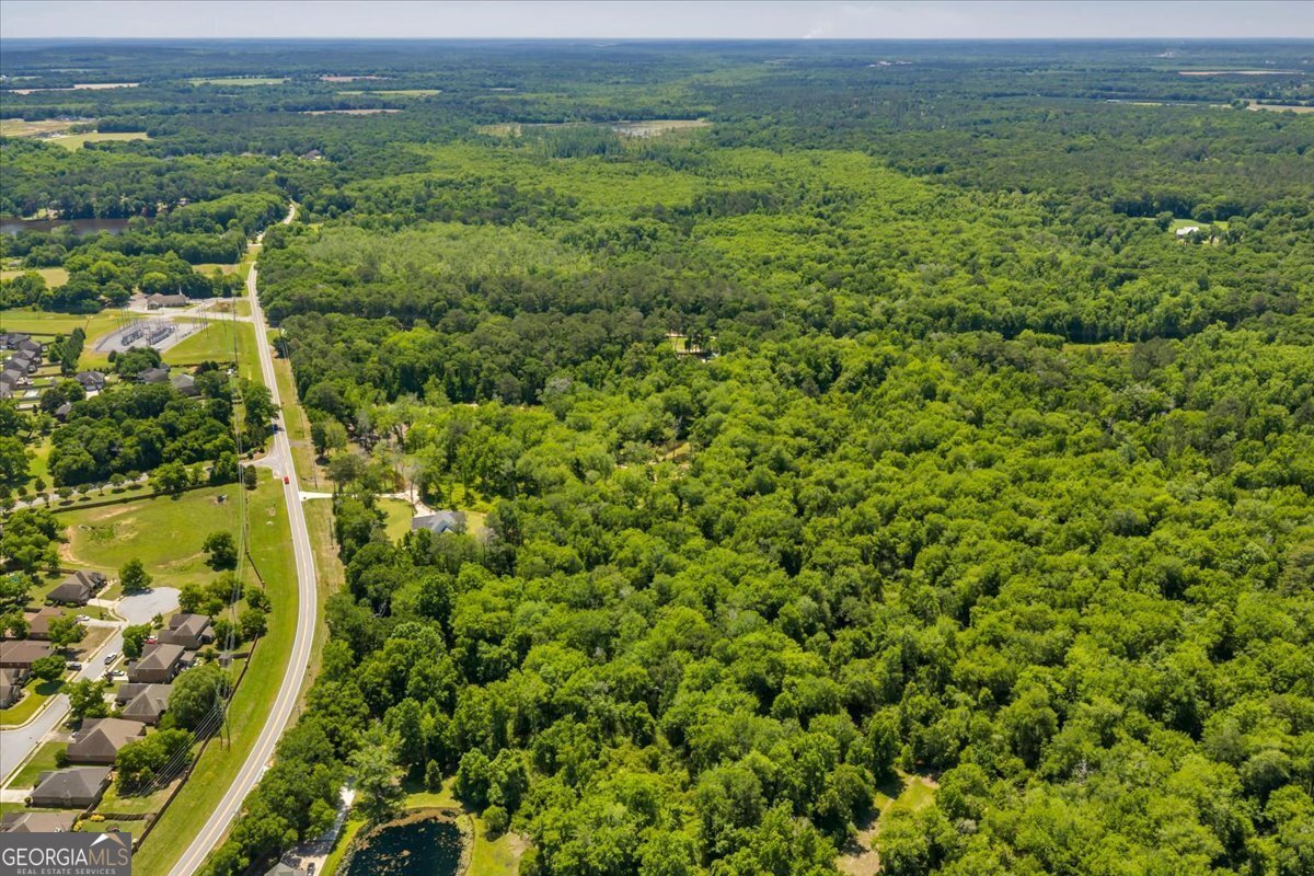 466 Bear Branch Road Kathleen - Photo 126
