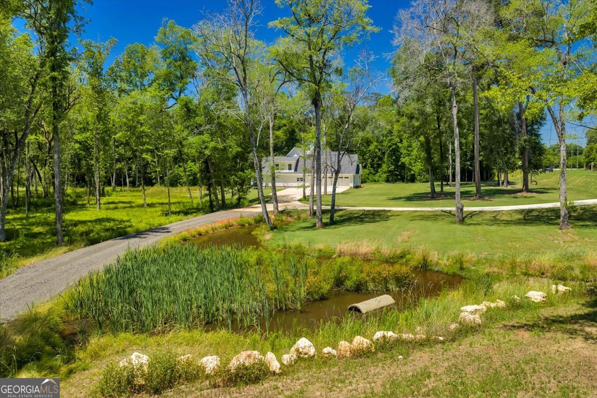 466 Bear Branch Road Kathleen - Photo 87