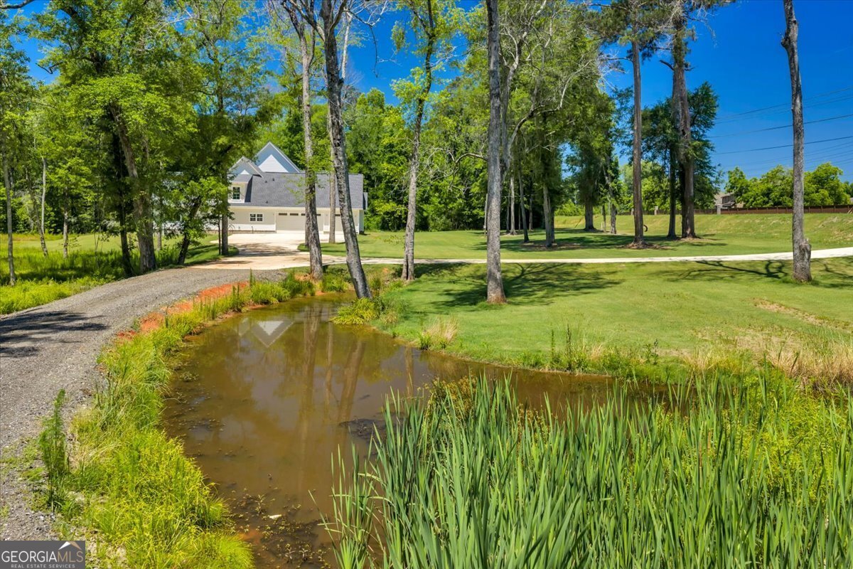 466 Bear Branch Road Kathleen - Photo 88