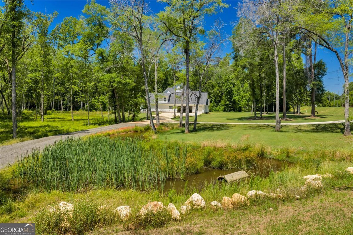 466 Bear Branch Road Kathleen - Photo 89