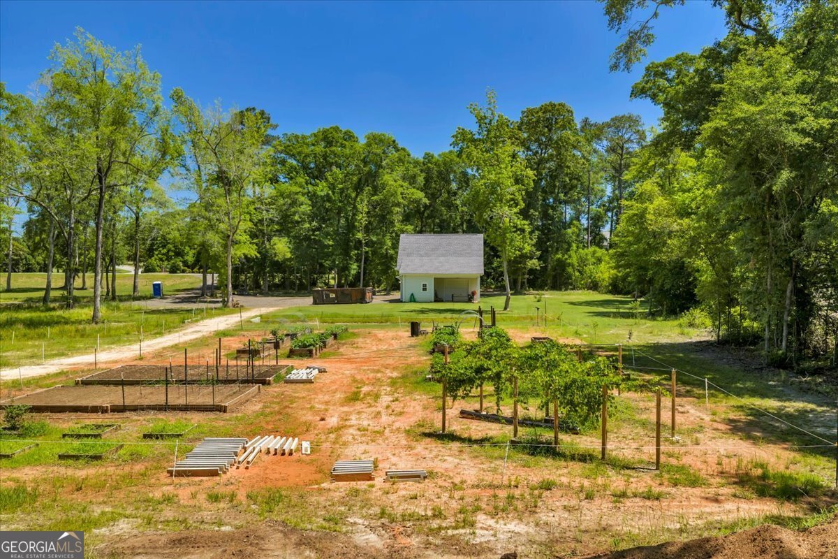466 Bear Branch Road Kathleen - Photo 90