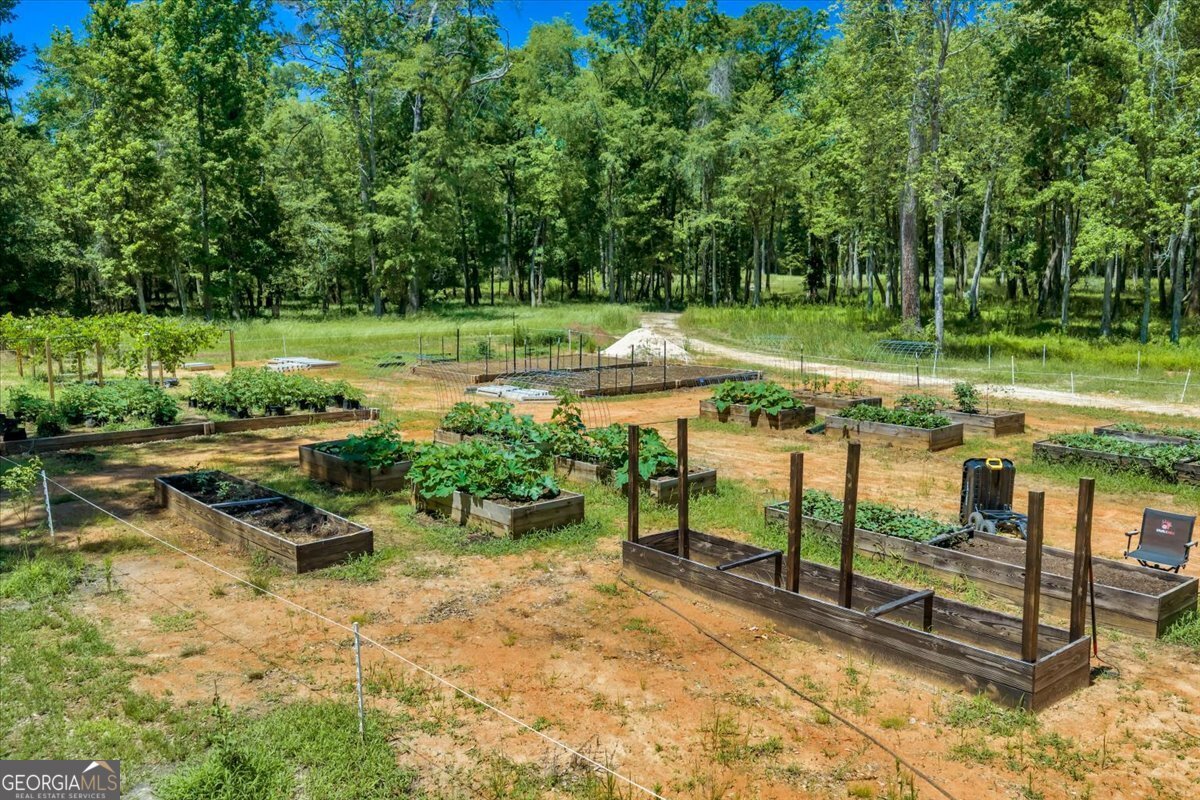466 Bear Branch Road Kathleen - Photo 91