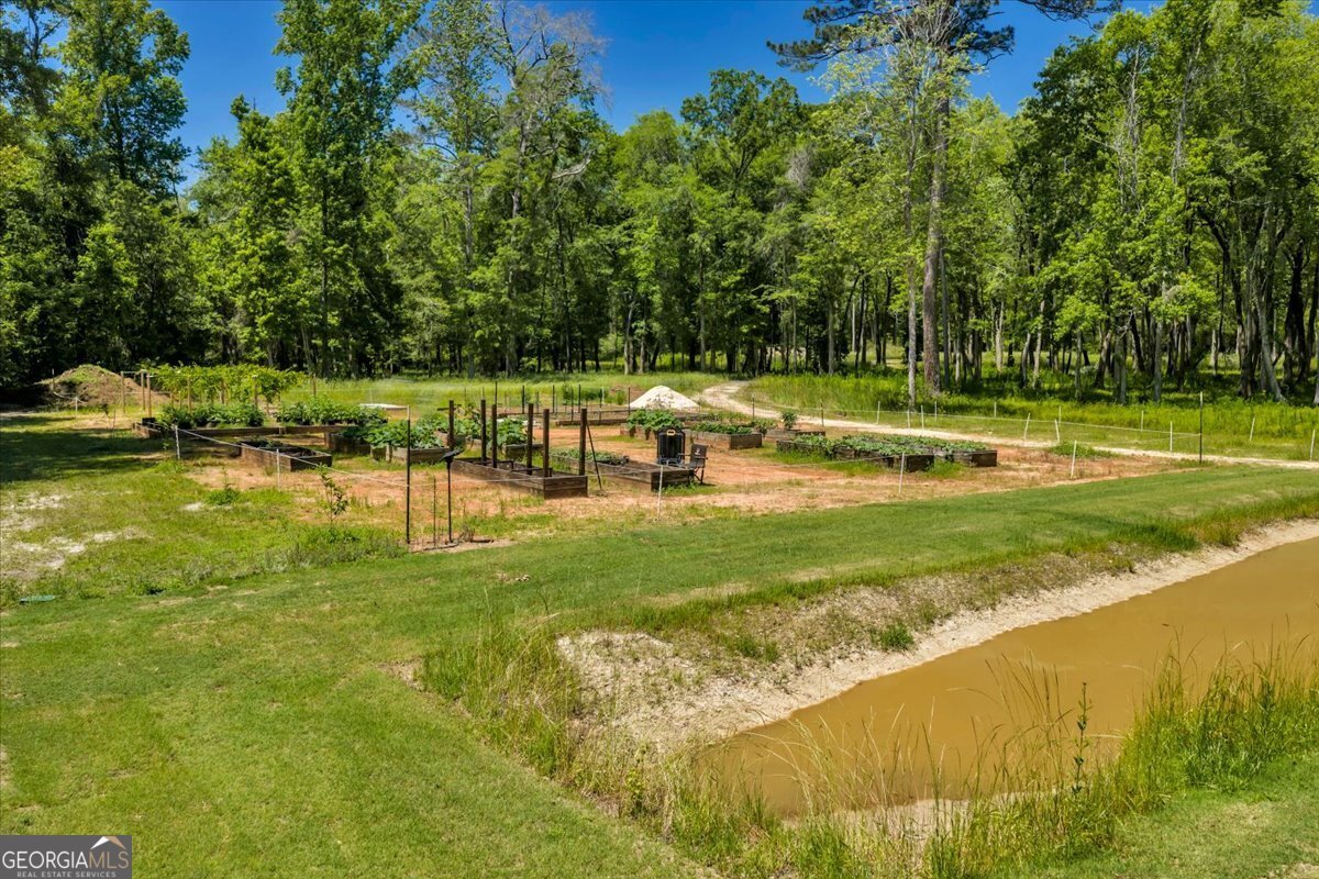 466 Bear Branch Road Kathleen - Photo 93