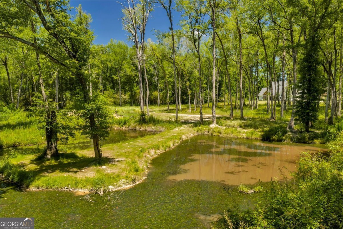 466 Bear Branch Road Kathleen - Photo 95