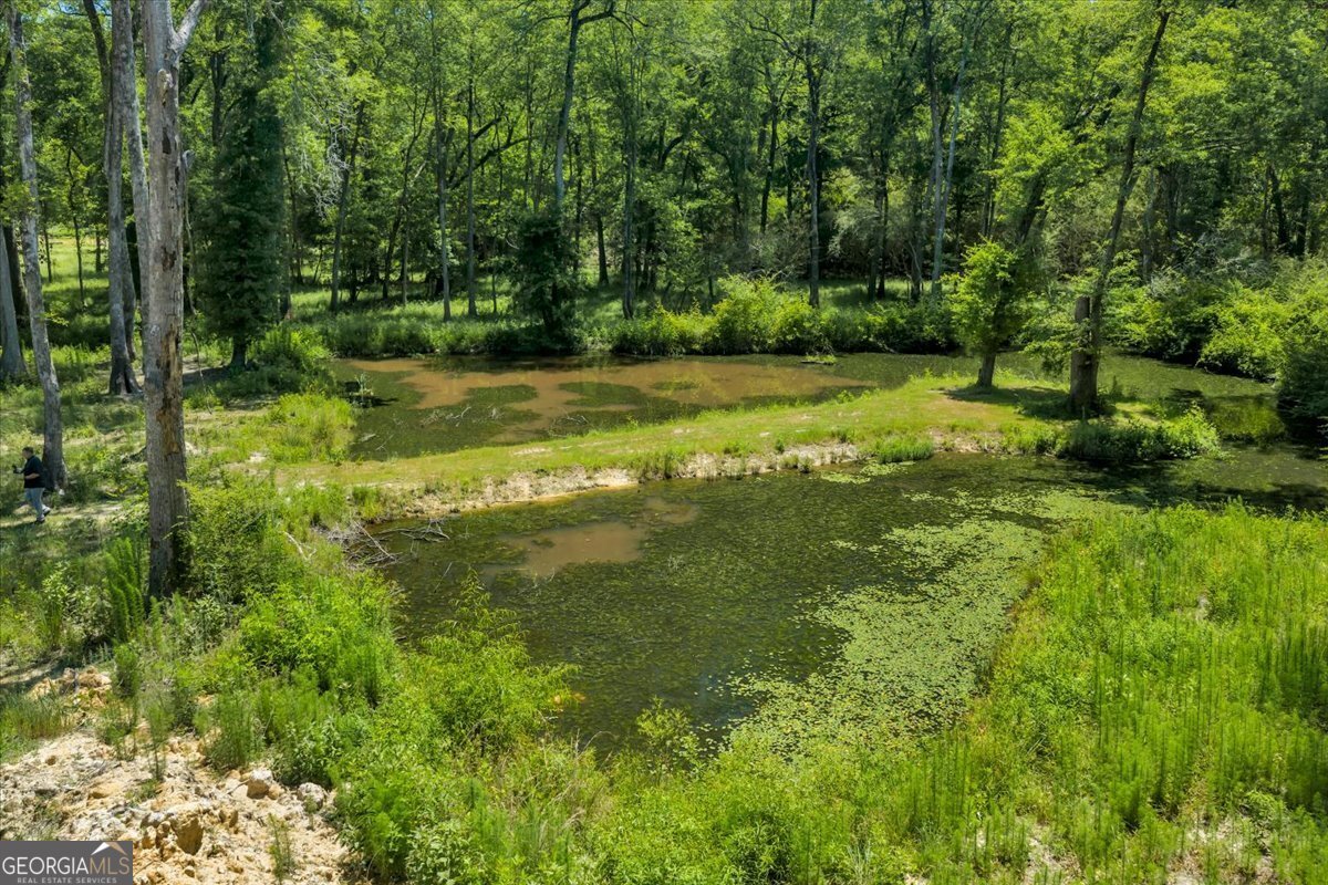 466 Bear Branch Road Kathleen - Photo 98