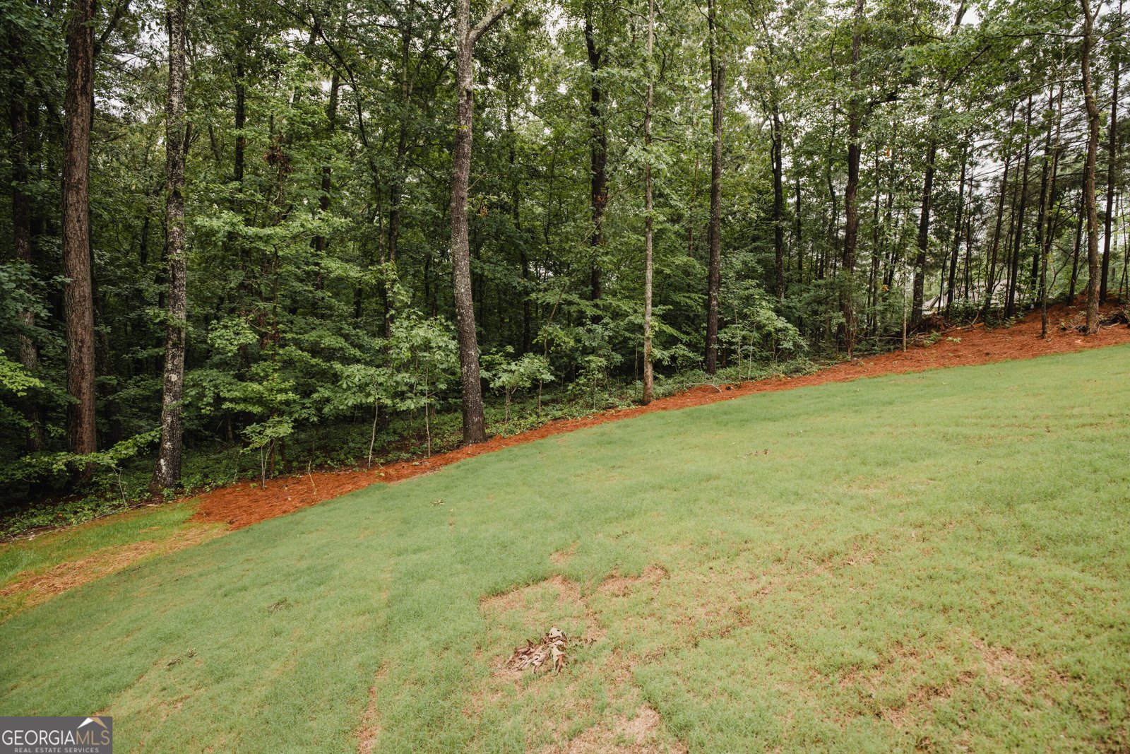 5970 Crowley Drive Douglasville - Photo 102