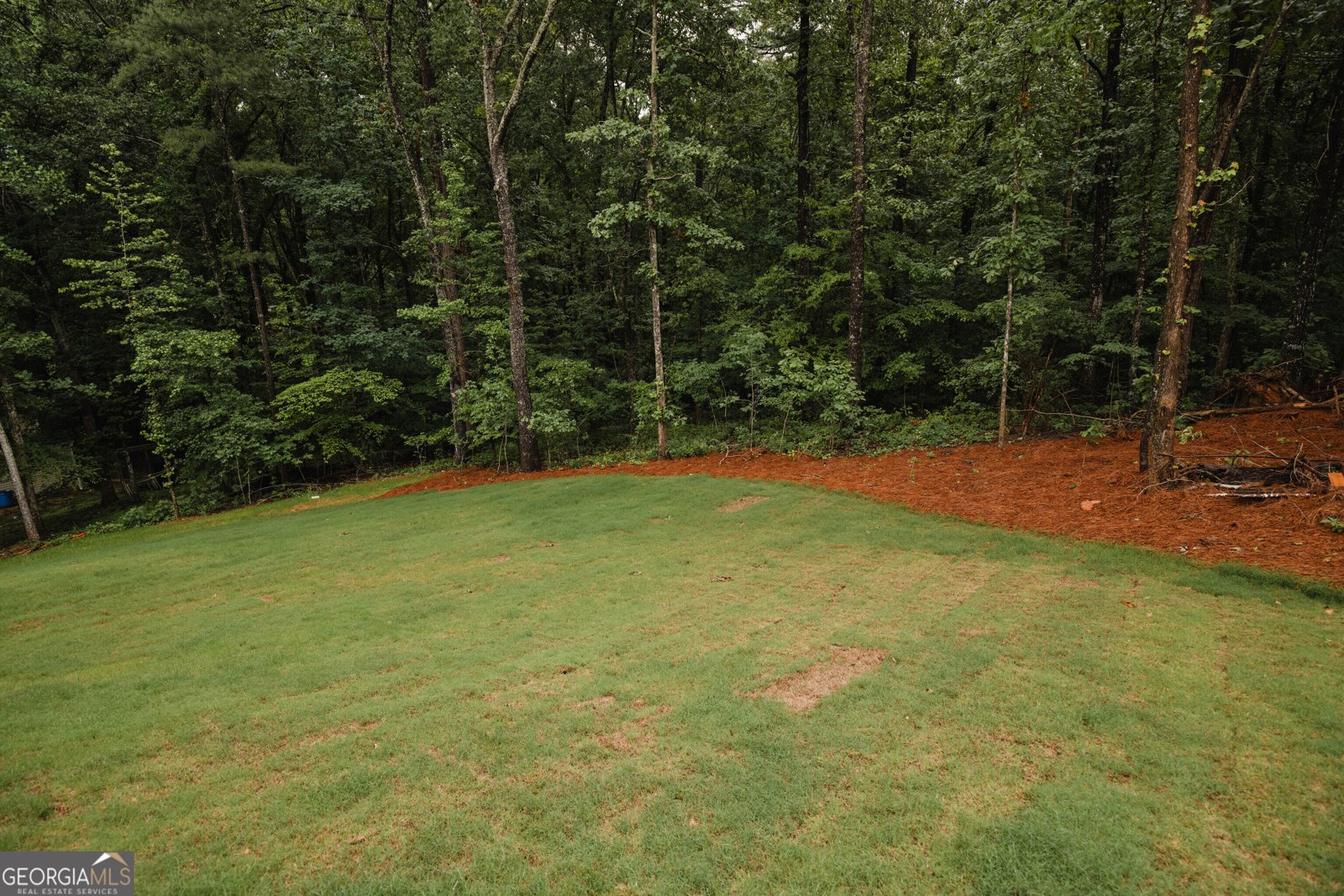 5970 Crowley Drive Douglasville - Photo 103
