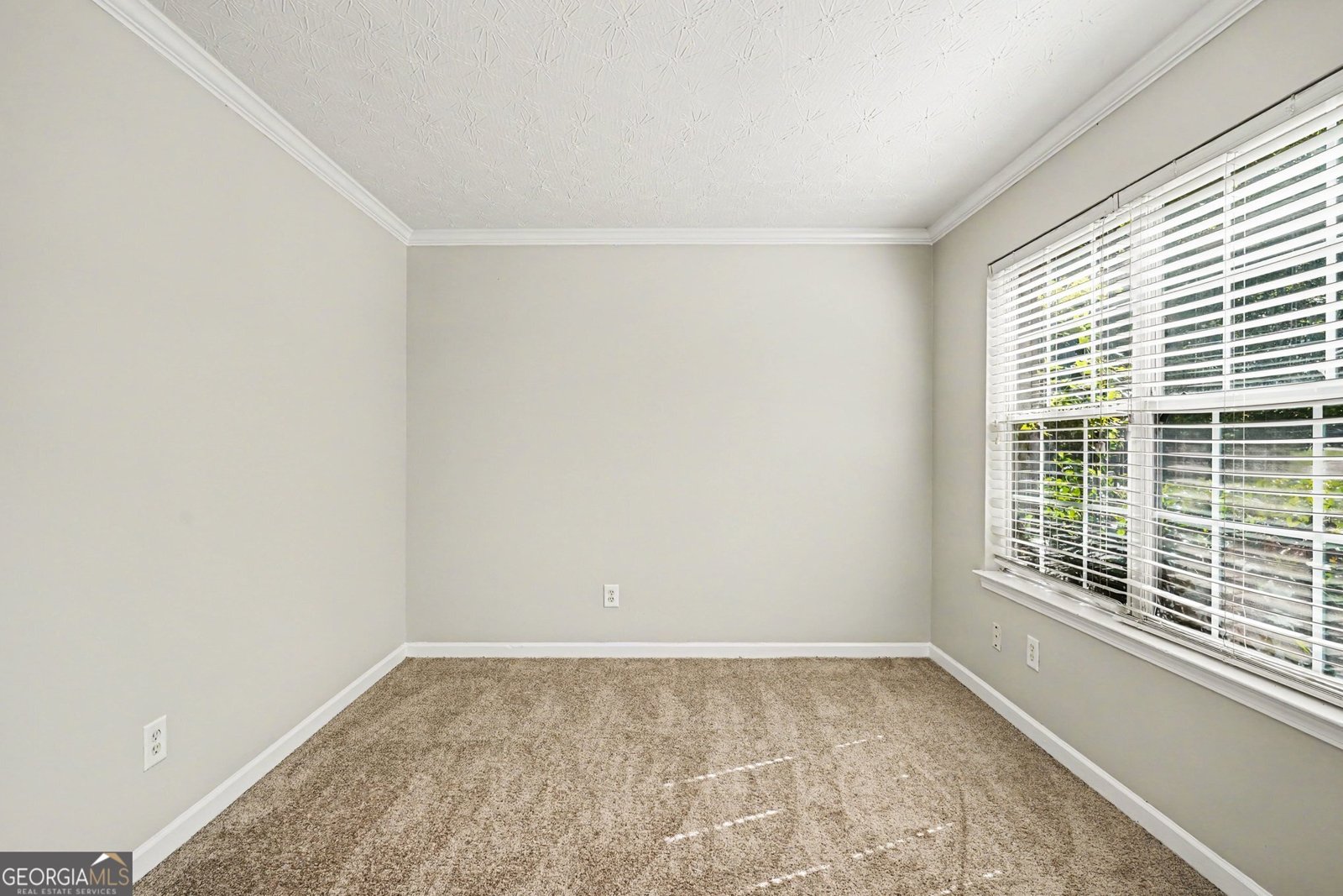1729 Birkshire Ridge Mcdonough - Photo 10