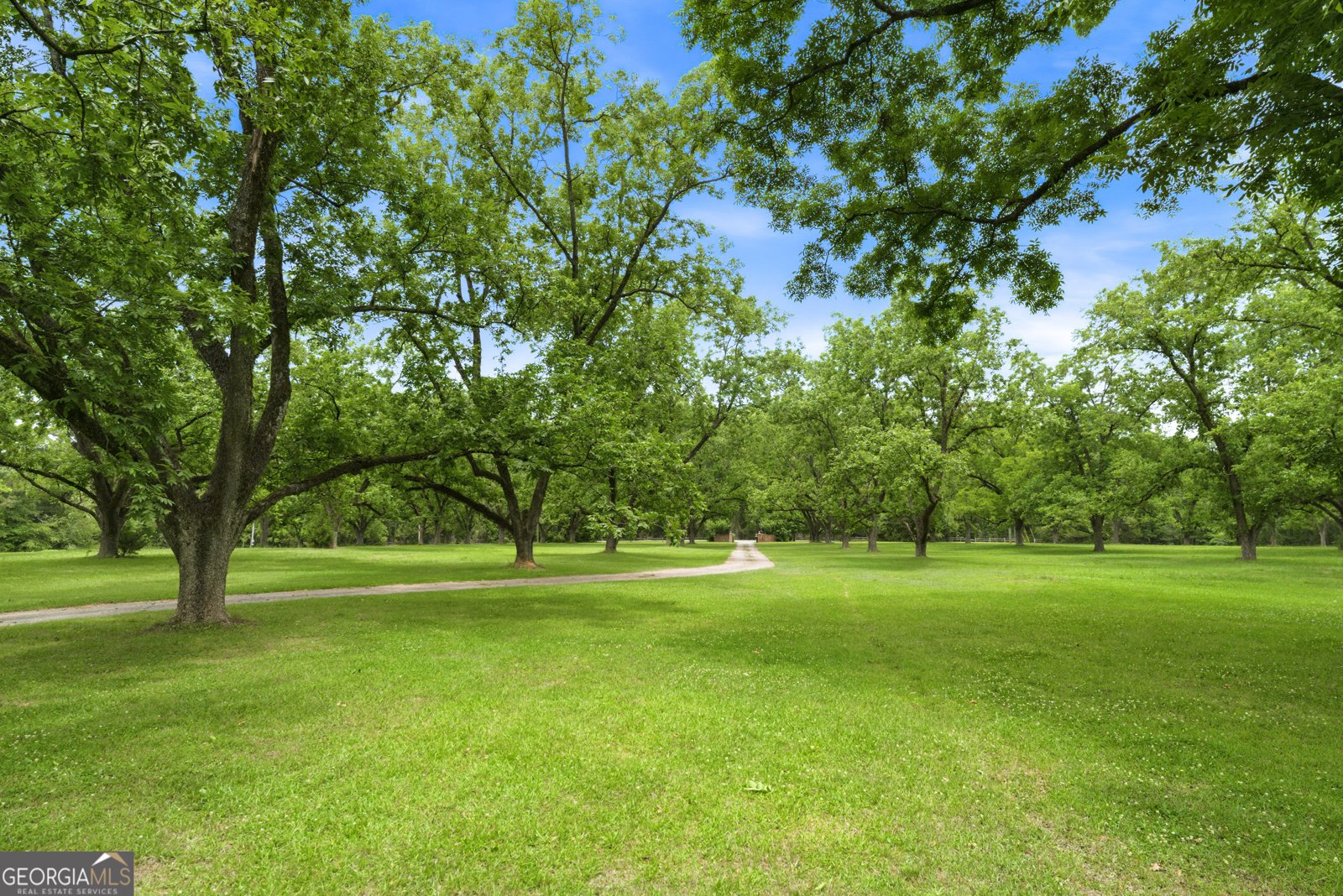4763 Us Highway 41 Macon - Photo 53
