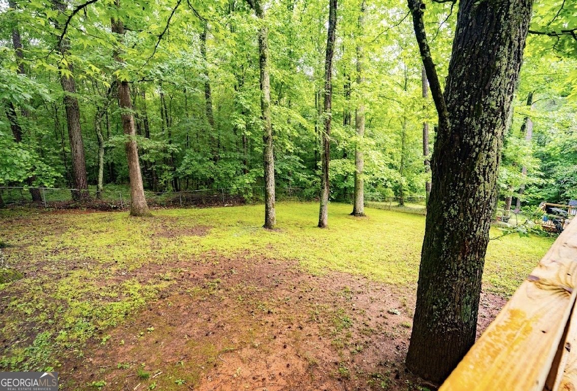3091 Beaver Drive Douglasville - Photo 70