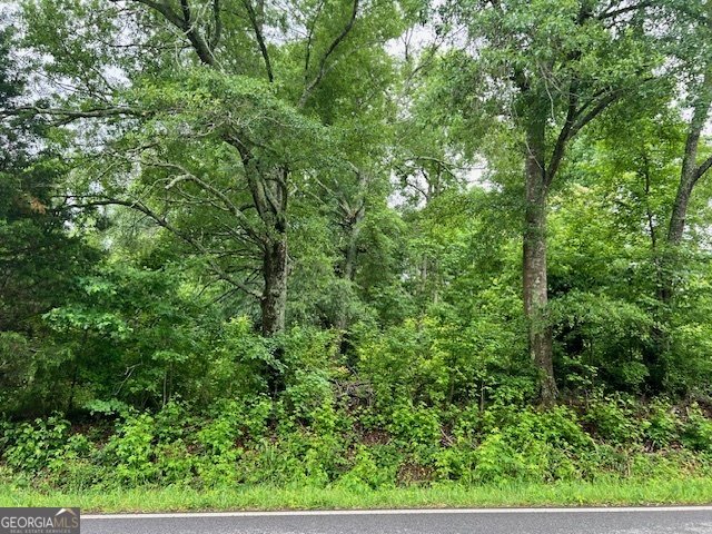 1115 Indian Creek Road Locust Grove - main photo