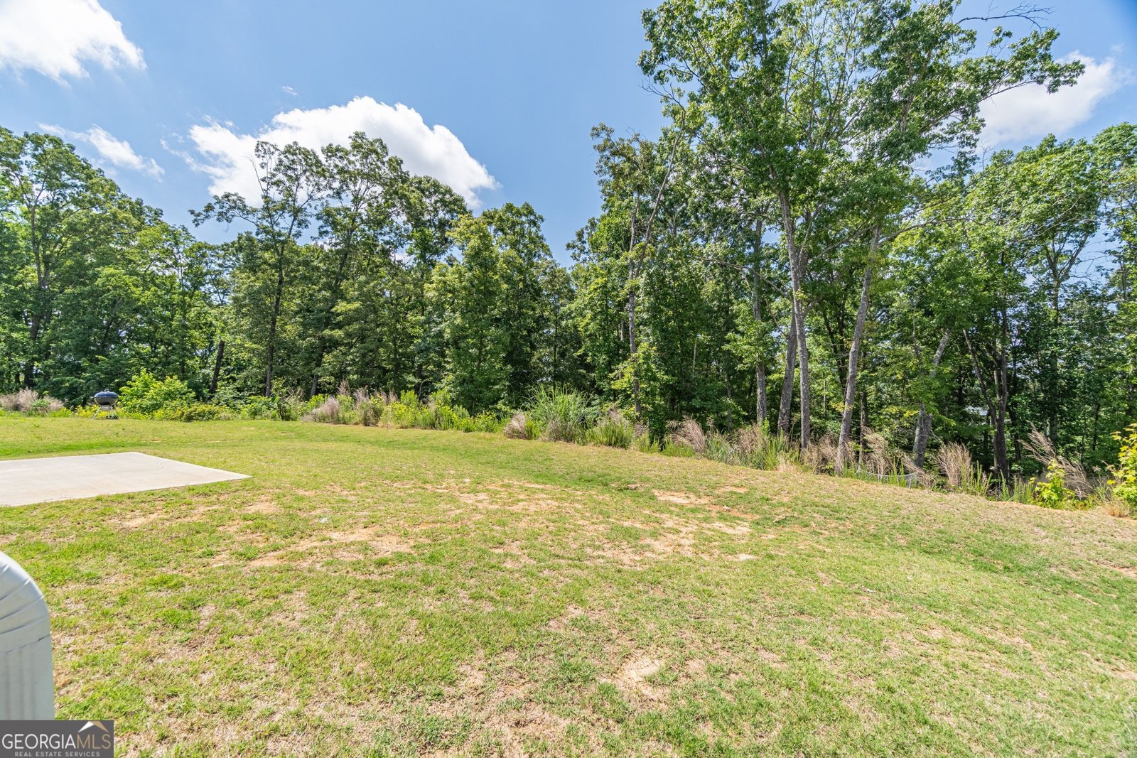 1466 Winding Ridge Trail Hoschton - Photo 50