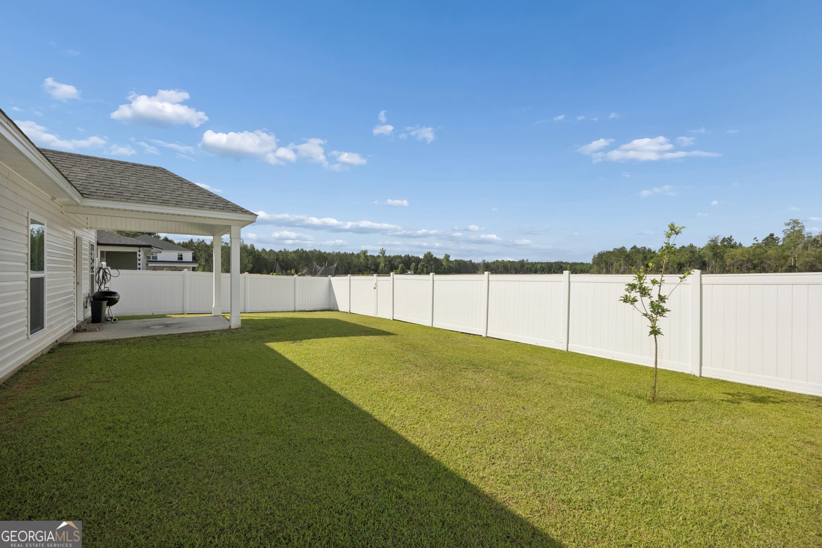 207 Alyssa Avenue Guyton - Photo 37