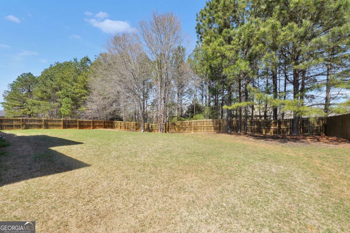 182 Tapestry Drive Mcdonough - Photo 22