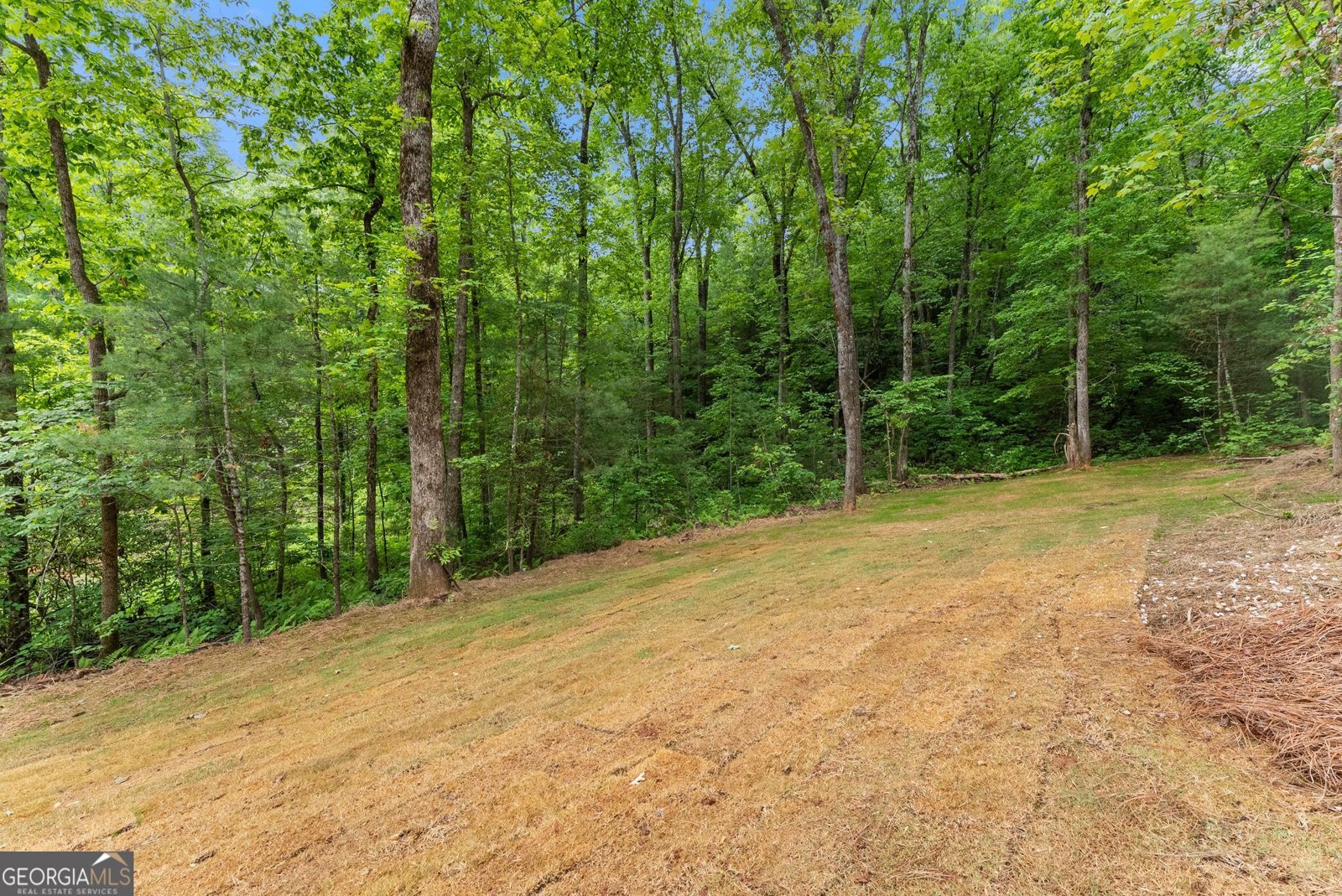286 Frances Drive Ellijay - Photo 49