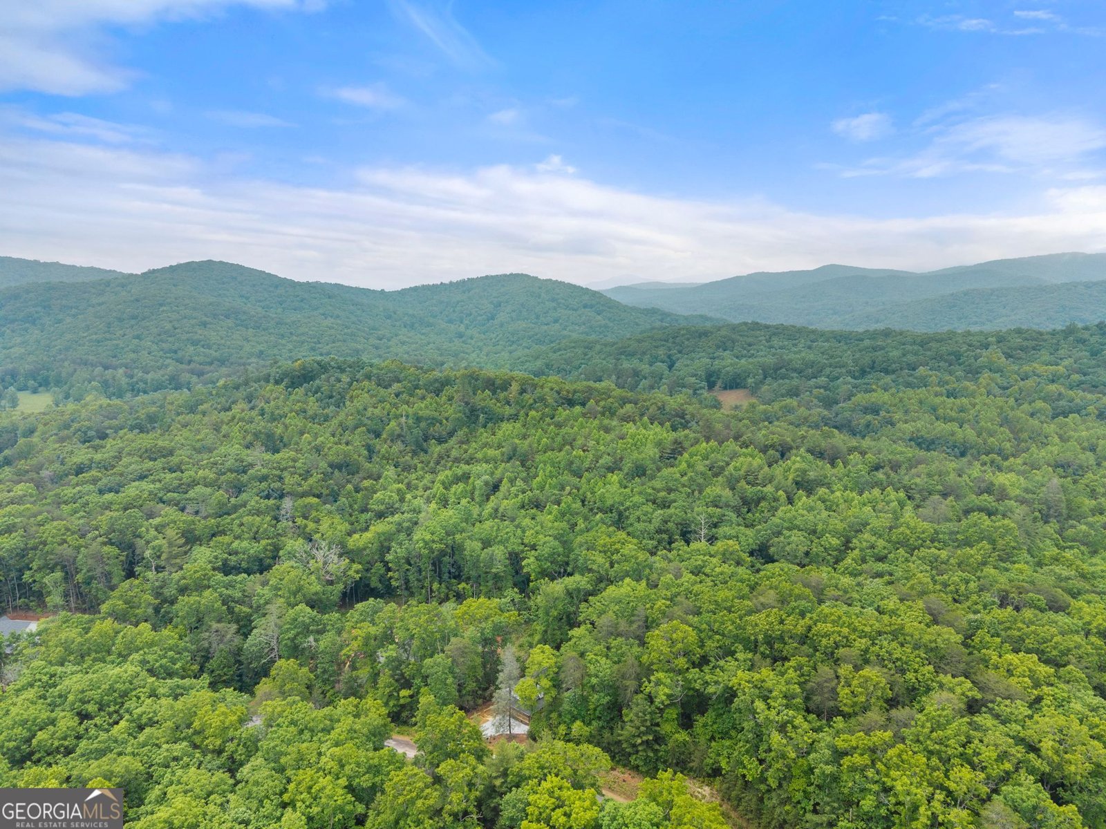 286 Frances Drive Ellijay - Photo 62