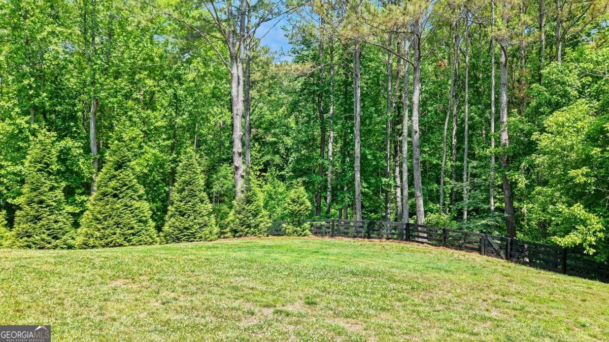 224 Goss Lane Ball Ground - Photo 36