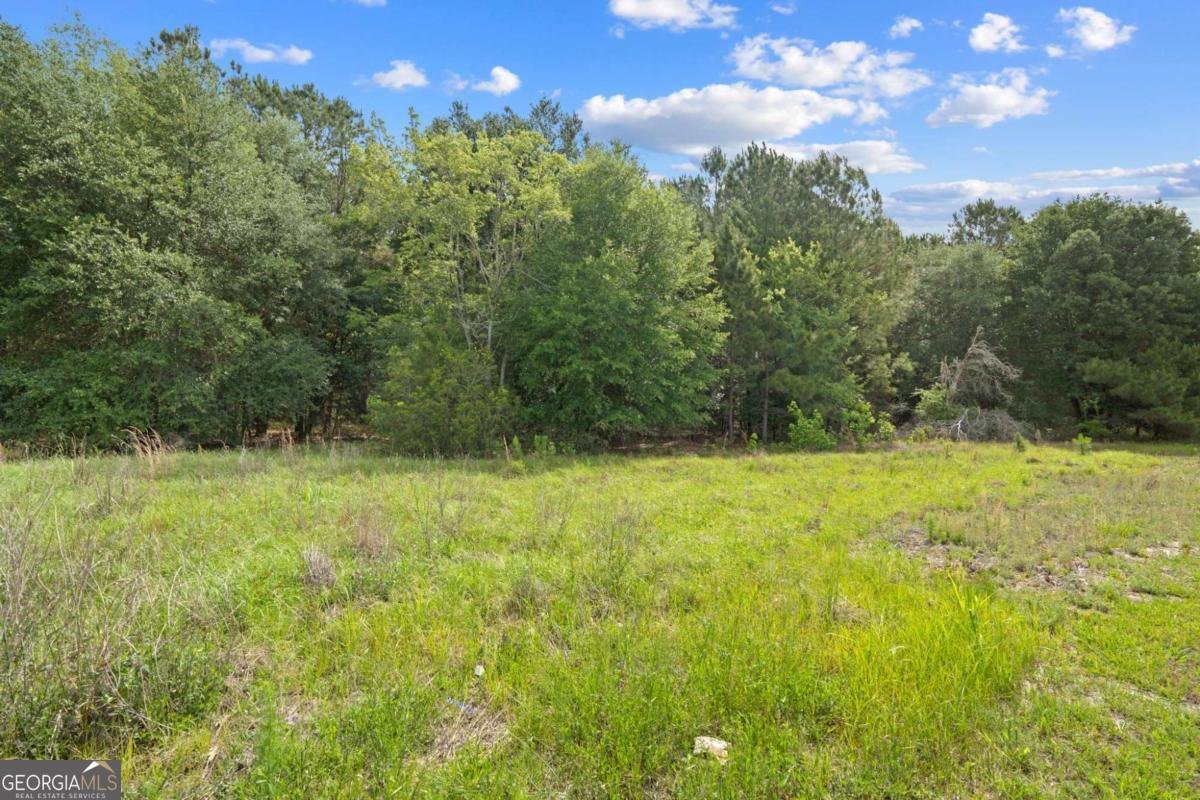 212 Sage Field Drive Rincon - Photo 8