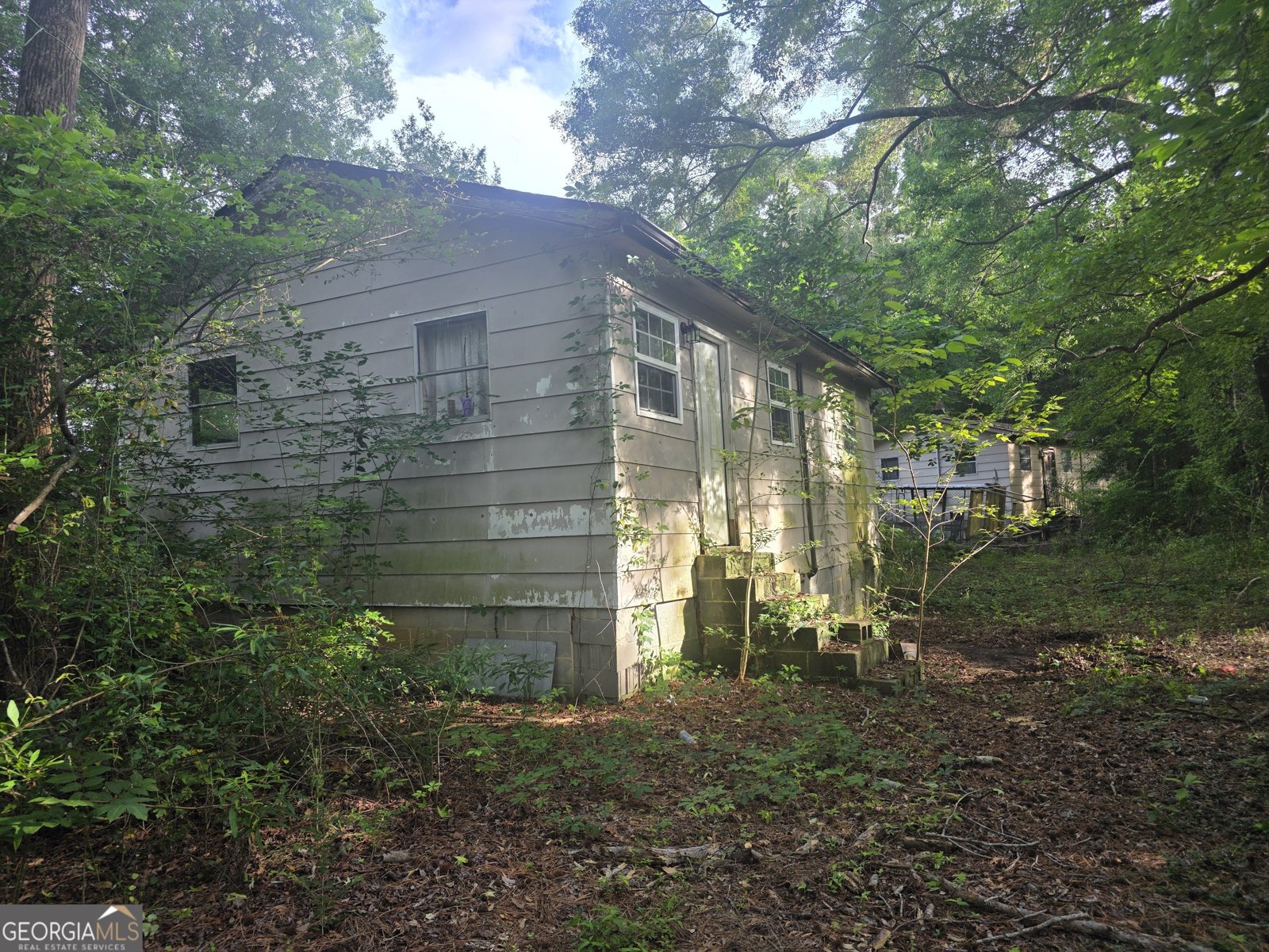 Photo 4