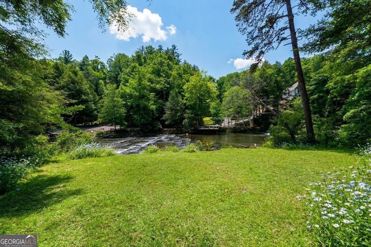 909 High Shoals Drive Dahlonega - Photo 108