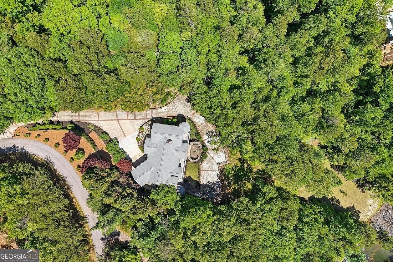 909 High Shoals Drive Dahlonega - Photo 114