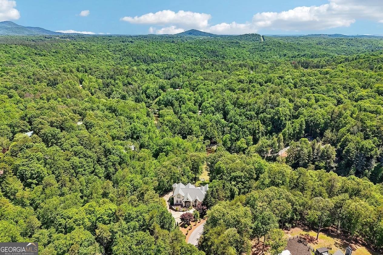 909 High Shoals Drive Dahlonega - Photo 115