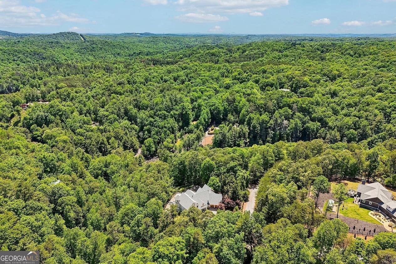 909 High Shoals Drive Dahlonega - Photo 116