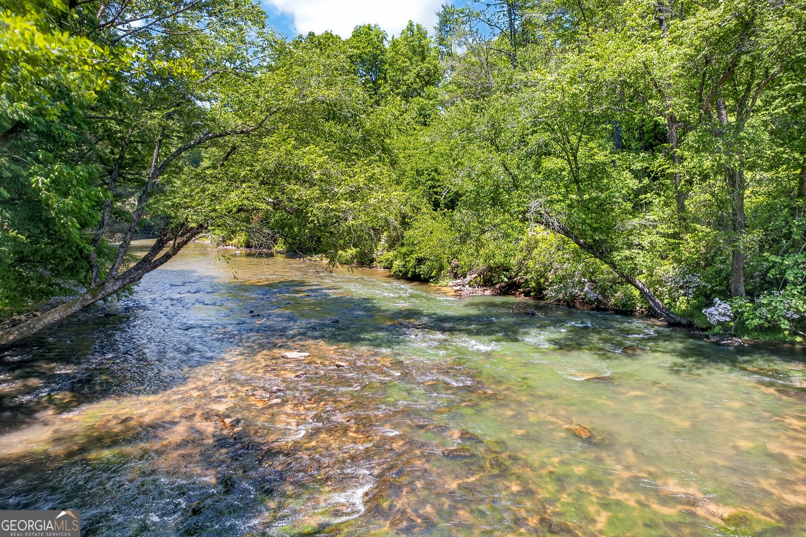 184 Grey Fox Trail Ellijay - main photo