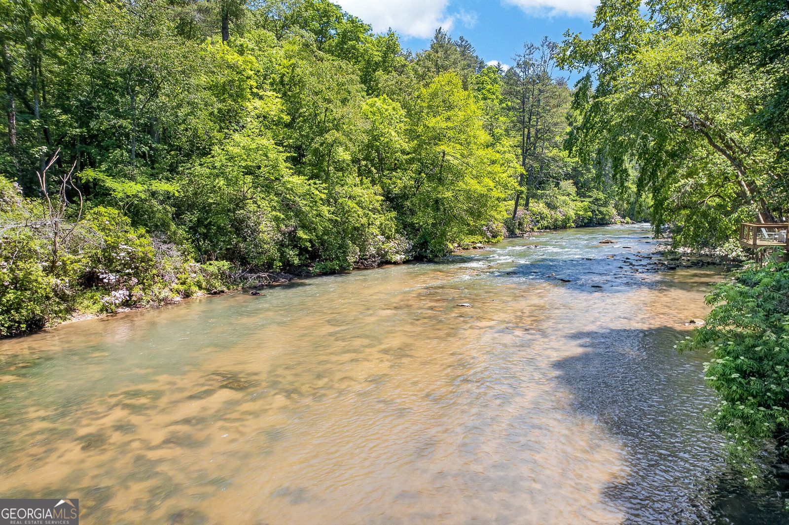 184 Grey Fox Trail Ellijay - Photo 19