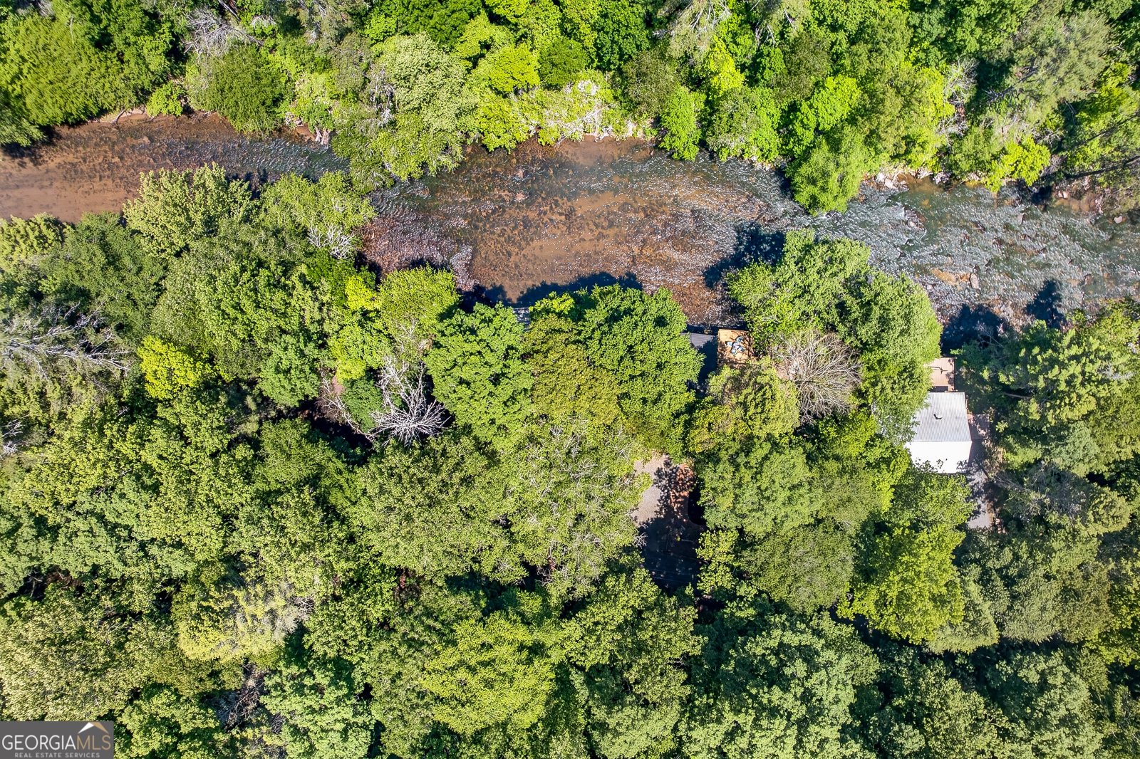 184 Grey Fox Trail Ellijay - Photo 25
