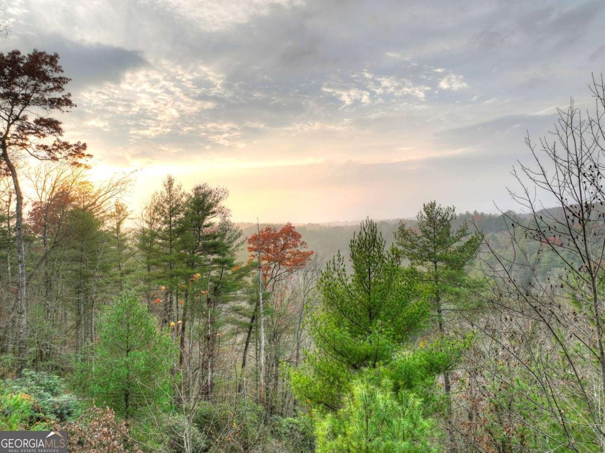 89 Whitepath Circle Ellijay - Photo 38