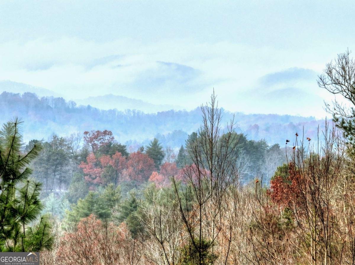 89 Whitepath Circle Ellijay - Photo 6