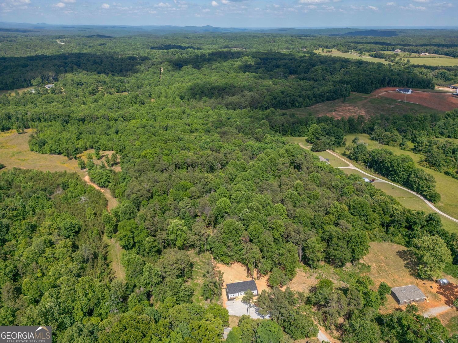 734 Hollywood Church Road Clarkesville - Photo 38