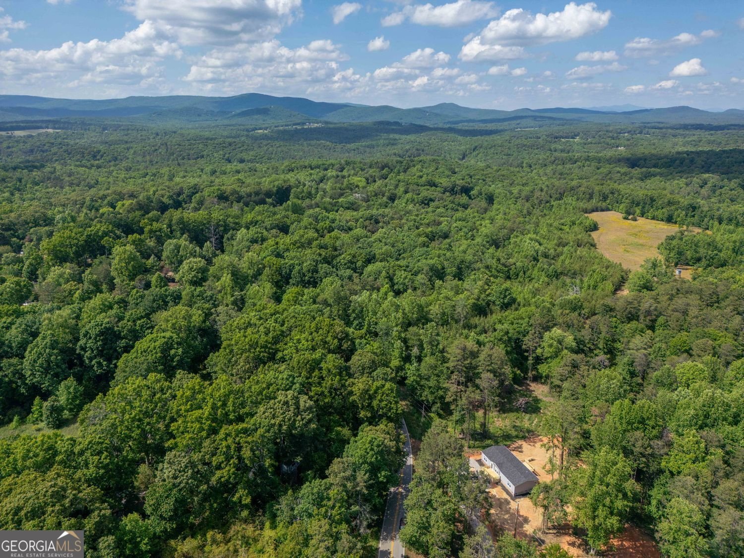 734 Hollywood Church Road Clarkesville - Photo 41