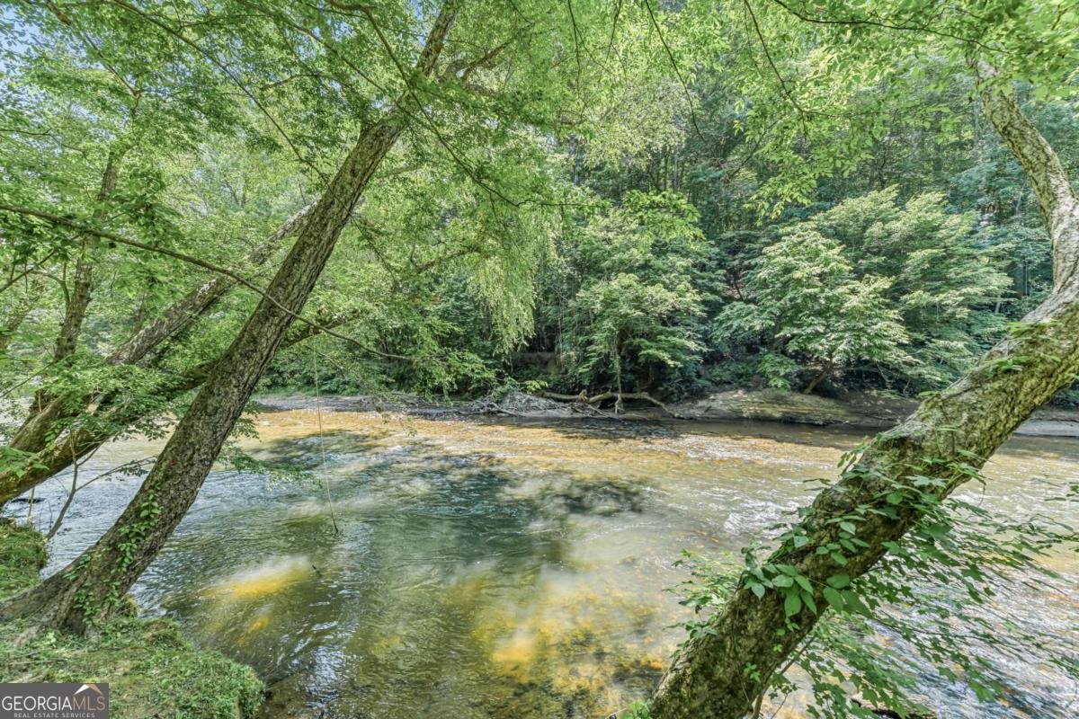 982 Golden Avenue Dahlonega - Photo 41