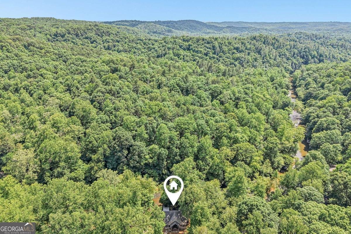 982 Golden Avenue Dahlonega - Photo 51