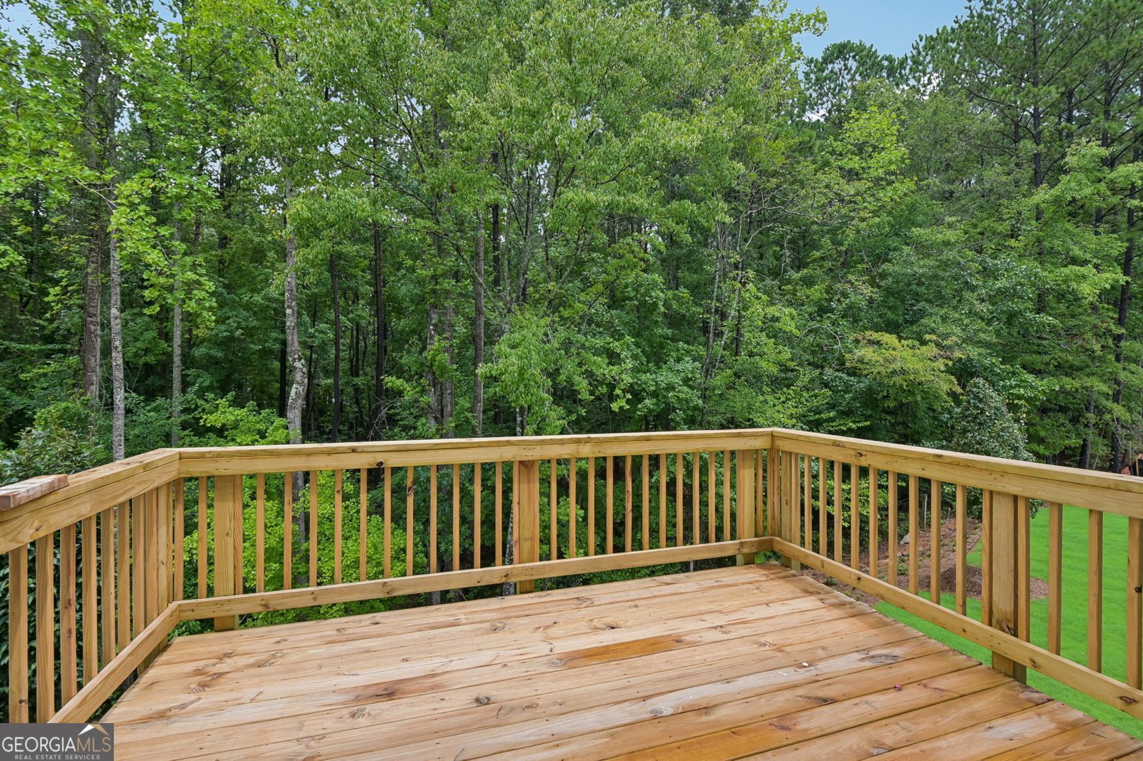7295 Lyric Street Fairburn - Photo 49