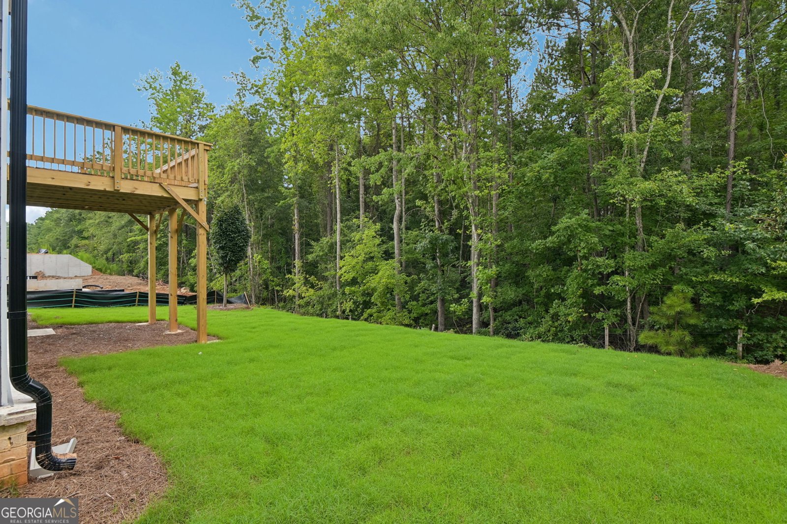 7295 Lyric Street Fairburn - Photo 51